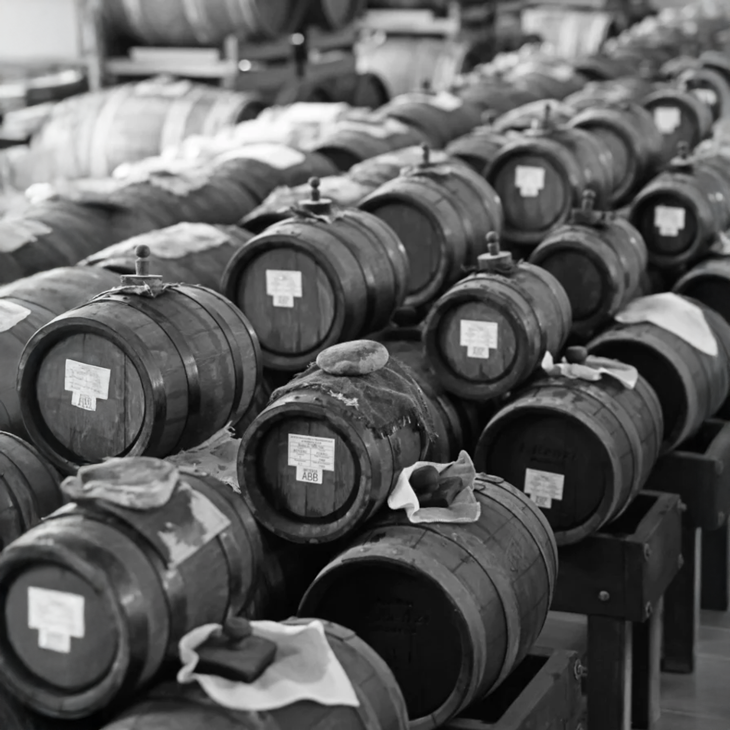 Balsamic Vinegar of Modena D.O.P. “Extravecchio" (50+ Years)