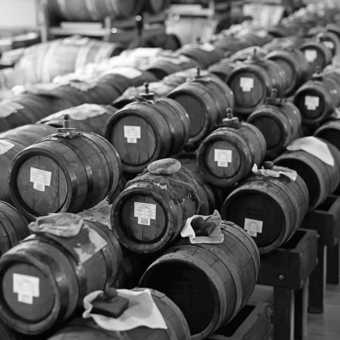 Balsamic Vinegar of Modena D.O.P. “Extravecchio" (50+ Years)