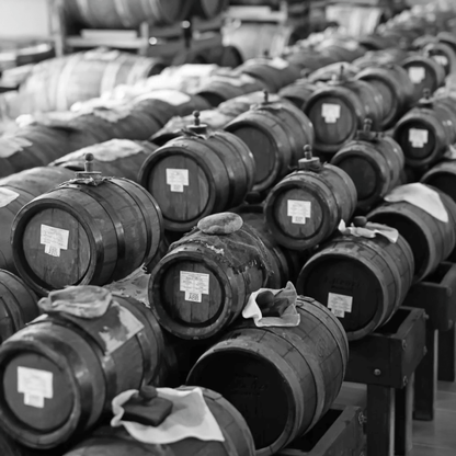 Balsamic Vinegar of Modena D.O.P. “Extravecchio" (50+ Years)