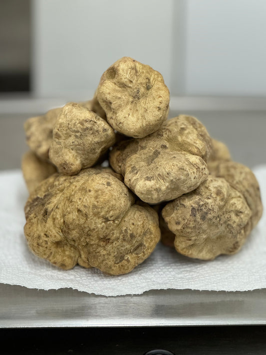 Fresh Italian White Winter Truffles - Small/Medium