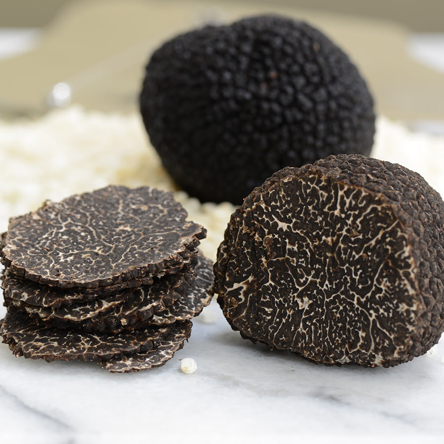 A whole Black Winter Périgord Truffle